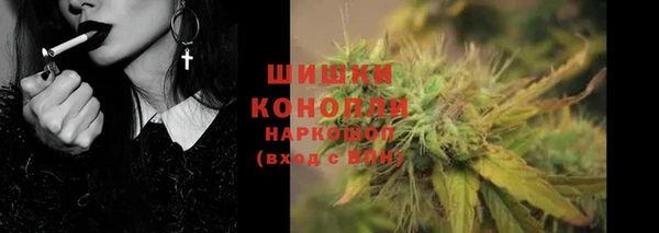 spice Алзамай