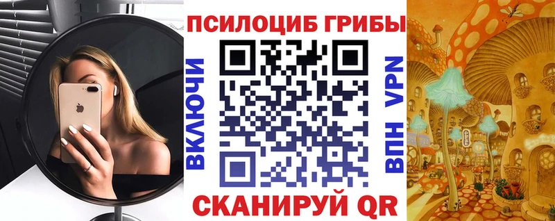 mega ссылки  Карачаевск  Галлюциногенные грибы Psilocybe 